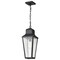 Nuvo Lawrence - 1 Light Hanging Lantern - Matte Black with Clear Seeded Glass 60/8135 - alternate 1
